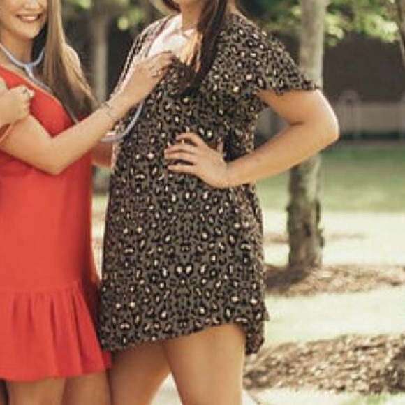 Leopard v neck swing dress - Picture 1 of 3